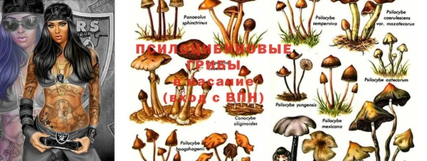 круглые Арсеньев