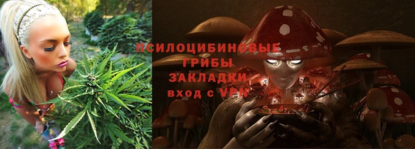 ГАЛЛЮЦИНОГЕННЫЕ ГРИБЫ Баксан